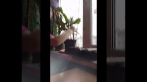 Наш огород 🫜 с внучкой Ярославой ❤️