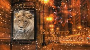 Спокойной ночи!