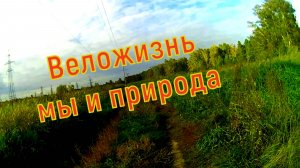 Осень. Наша поездка на великах