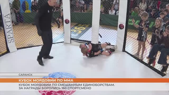 Кубок Мордовии по ММА