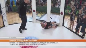 Кубок Мордовии по ММА