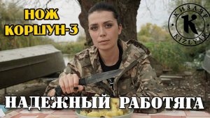 Коршун-3 надежный работяга.