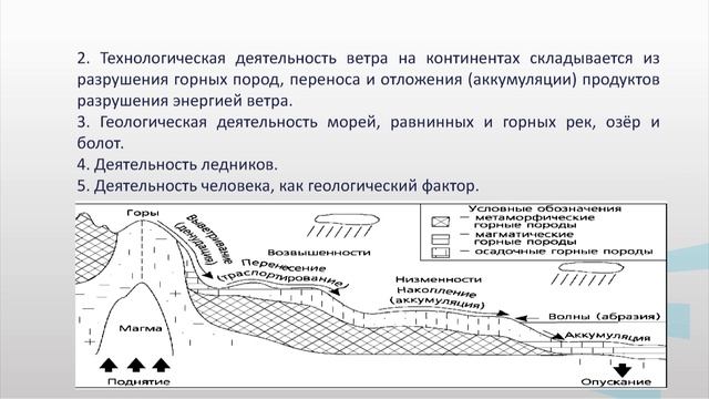 Сальникова 2_2