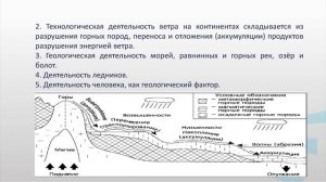 Сальникова 2_2