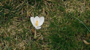 ВИДЕО ПВН  АВ   (69)