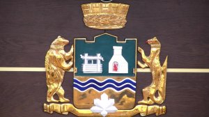 11.11.2025 Заседание Екатеринбургской городской Думы №41 (8 созыв)