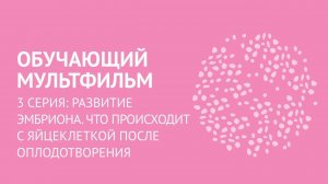 Серия 3. Развитие эмбриона. Что происходит с яйцеклеткой после оплодотворения.