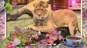 Доброе утро!