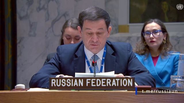 Д.А.Полянский на Совете Безопасности ООН по стрелковому оружию и легким вооружениям, 11 ноября 2025