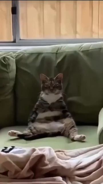 Искусство красиво сидеть 😁😁