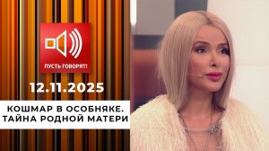 Кошмар в особняке. Эпизод 5: тайна родной матери. Пусть говорят. Выпуск от 12.11.2025