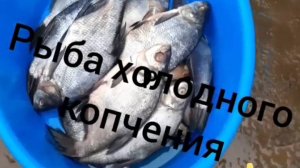 Дымогенератор для холодного копчения своими руками.