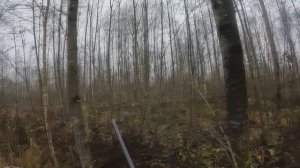 Охота с Добычем 11.11 2025г.