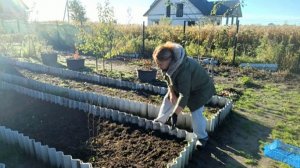 Сажаю  Чеснок / Смешной Басик / Любимое Море /