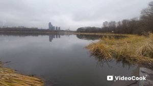 Ноябрь на пруду!