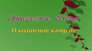 Интересные факты о квашеной капусте