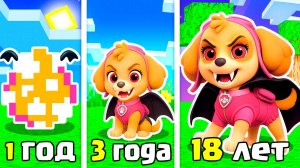 КАК МЕНЯЛАСЬ СКАЙ ВАМПИР ЩЕНЯЧИЙ ПАТРУЛЬ ЭВОЛЮЦИЯ В МАЙНКРАФТ