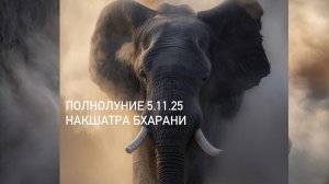 Полнолуние 5.12.25 в Овне накшатра Бхарани. Ведическая астрология.