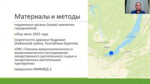 Характеристика микроскопических признаков травы манжетки городковатой