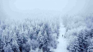 ДИАВОЛ ХОЧЕТ ОСТАНОВИТЬ КАЖДОГО ИЗ НАС / МОЛИТВА В ЗИМНЕМ ЛЕСУ 🙏