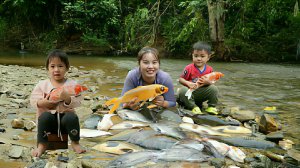 Ловим большую речную рыбу для продажи на рынке. Выращиваем цветы и кушаем фрукты с детьми. Вьетнам