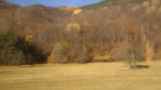 DSCN8433 Осенний Архыз,канатка,ферма Альпаки ноябрь 2025