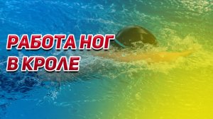 РАБОТА НОГ В КРОЛЕ: почему вы остаетесь на месте? Разбор главных ошибок и упражнения для ног