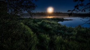 Михаил Сёмин Догорит костёр