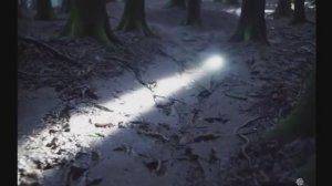 Два капитана (2025) — тайга, долг и поиск сыновей: честно о драма-триллере — обзор