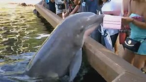 Смех до слёз.