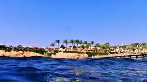 Шарм Красное море ,рыбы под водой Возле отеля SUNRISE Ноябрь 25г