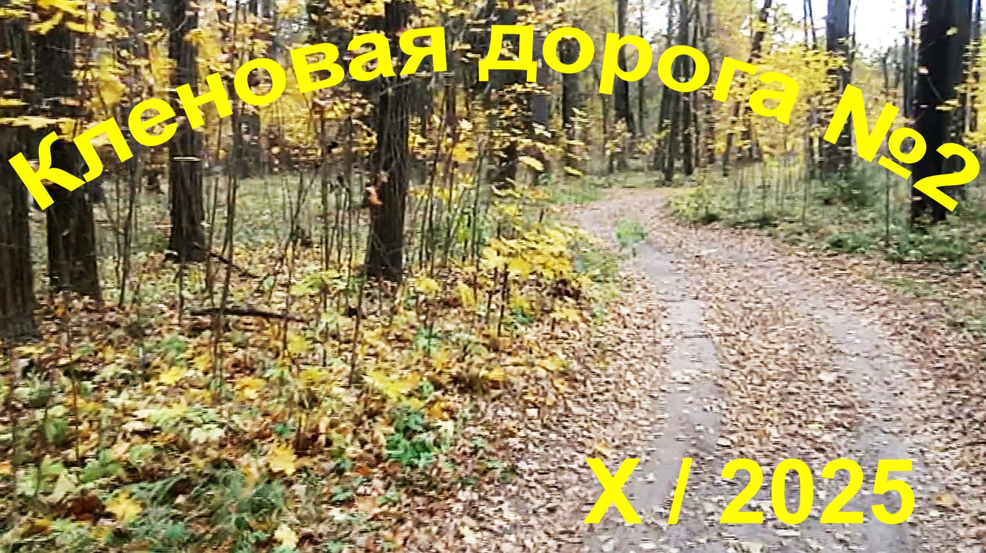 Кленовогóрье.  Кленовая дорога №2.  X/2025