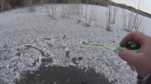 ПЕРВЫЙ ЛЁД 2025-2026!!! Черные болотные рыбины начали Жрать!!!