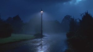 The last song before dawn..