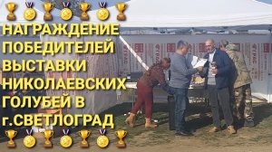 🏆🏅🏆 Выставка николаеаских голубей в г.Светлоград. Награждение победителей. Птичий рынок 09.11.25