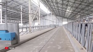 Новый молочный комплекс построят в Кировском округе Приморья.