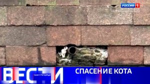 Вести Санкт-Петербург. Выпуск 21.10 от 12.11.2025