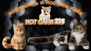 ПРЕМЬЕРА КЛИП ПЕСНЯ ПЕРВАЯ У КОТ САНЯ 225 
ГИМН КОТА И КОТ САНЯ ЛЕГЕНДА