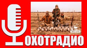ПРО ОХОТУ НА ГУСЯ / ПАТРОНЫ БУДУТ ДОРОЖАТЬ / Cергей Титов ПРОГУСЬ🔴ОХОТРАДИО