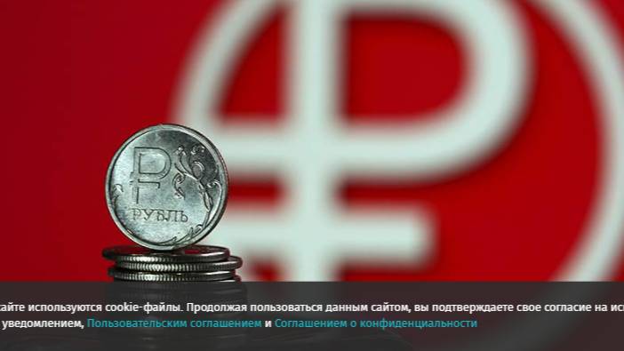 В ГД отвергли полный переход к выплате зарплат цифровым рублем