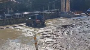 Утро после наводнения в Сочи. Хоста 2024. Утро вечера мудренее.