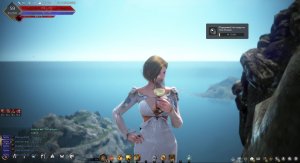 Black Desert ОФ Фарм