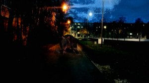 Сухой осенний вечер