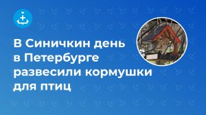 В Cиничкин день в Петербурге развесили кормушки для птиц