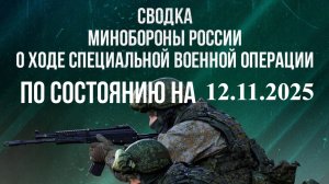 На украинском фронте произошел обвал в Запорожье. Наши войска прошли на 8 километров и захвати 12.11