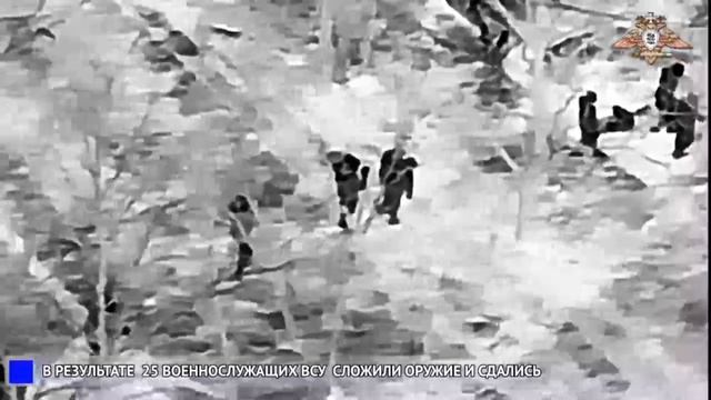 25 боевиков 38 бригады морской пехоты ВСУ сдались в плен