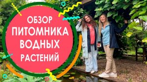 Экскурсия по питомнику водных растений