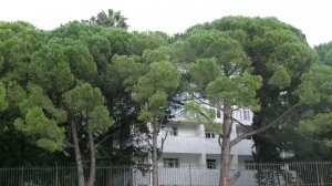 Всем привет из Абхазии город Гагра. Отель Жоэквара.  Номер Студия.  Наш отпуск. октябрь 2025 год..