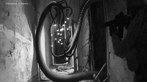 Сталкер ОП 2.2 №146. Ядовитое воздействие