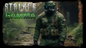 гамма военный 1день в зоне